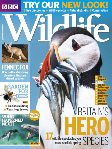 [英国版]BBC Wildlife 野生动物杂志 2014年4月刊