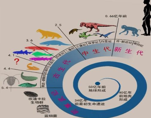 地球未解之谜有哪些,盘点科学家无法解释的地球未解之谜